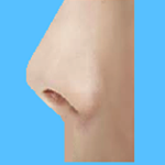 nose