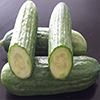 cucumber