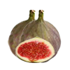 Figs