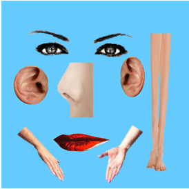 Body Parts - Basic - Screen Shot