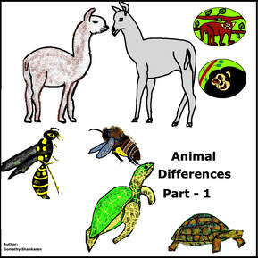 Animal Differences - part -1 