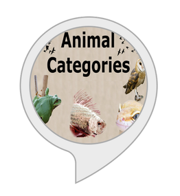 Animal Categories
