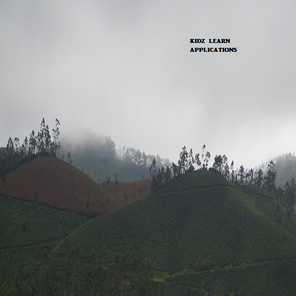 Tea Plantation - Scenery