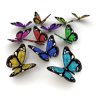 Colorful Butterflies